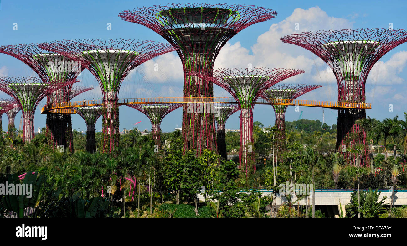 Atracciones turísticas de Singapur - Supertrees en jardines junto a la bahía Foto de stock