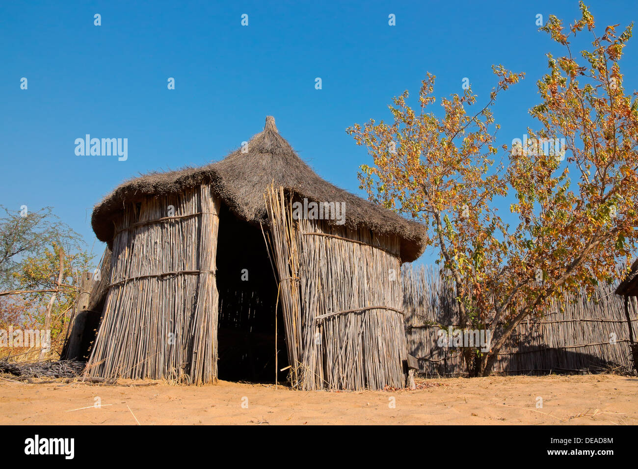 África rural tradicional choza de paja y juncos, la región de Caprivi, Namibia Foto de stock