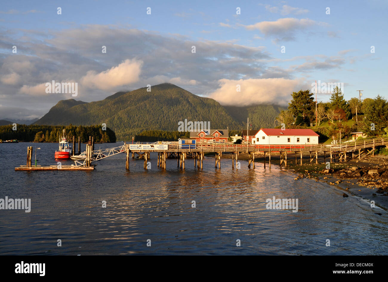 Sol vespertino al Gobierno Dock, Tofino, Vancouver Island, British Columbia, Canadá Foto de stock