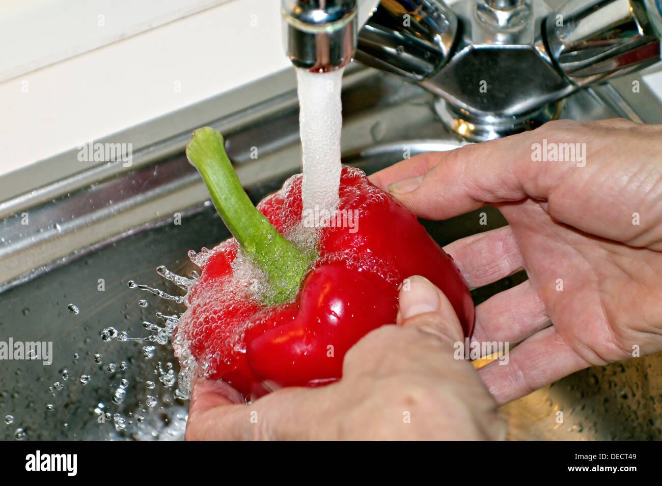Rojo Capsicum se enjuagan con agua del grifo Foto de stock