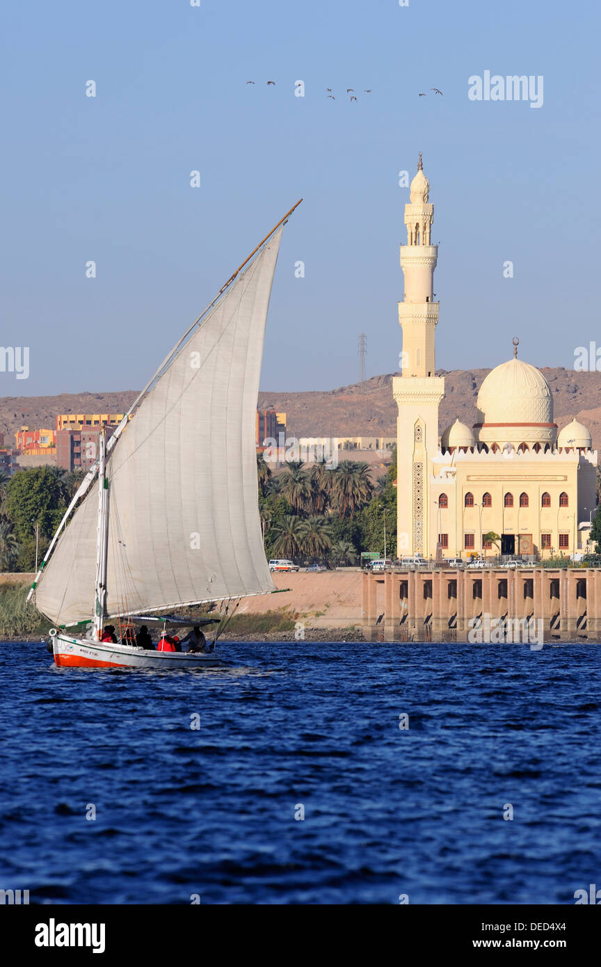 Faluca navegando en el río Nilo en Asuán, Egipto superior Foto de stock
