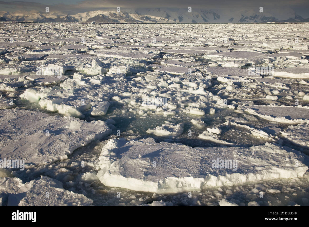 Bloques de hielo cerca de la isla Coulman, Mar de Ross Foto de stock