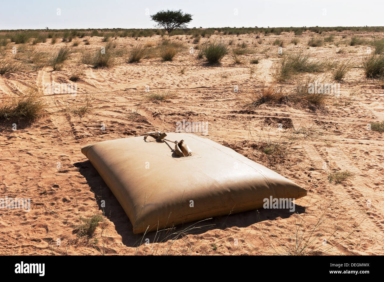 Almacenamiento de agua potable de vejiga en el desierto del Sahara, en el noroeste de Mauritania, para uso de las comunidades nómadas en remotas zonas áridas, África Foto de stock
