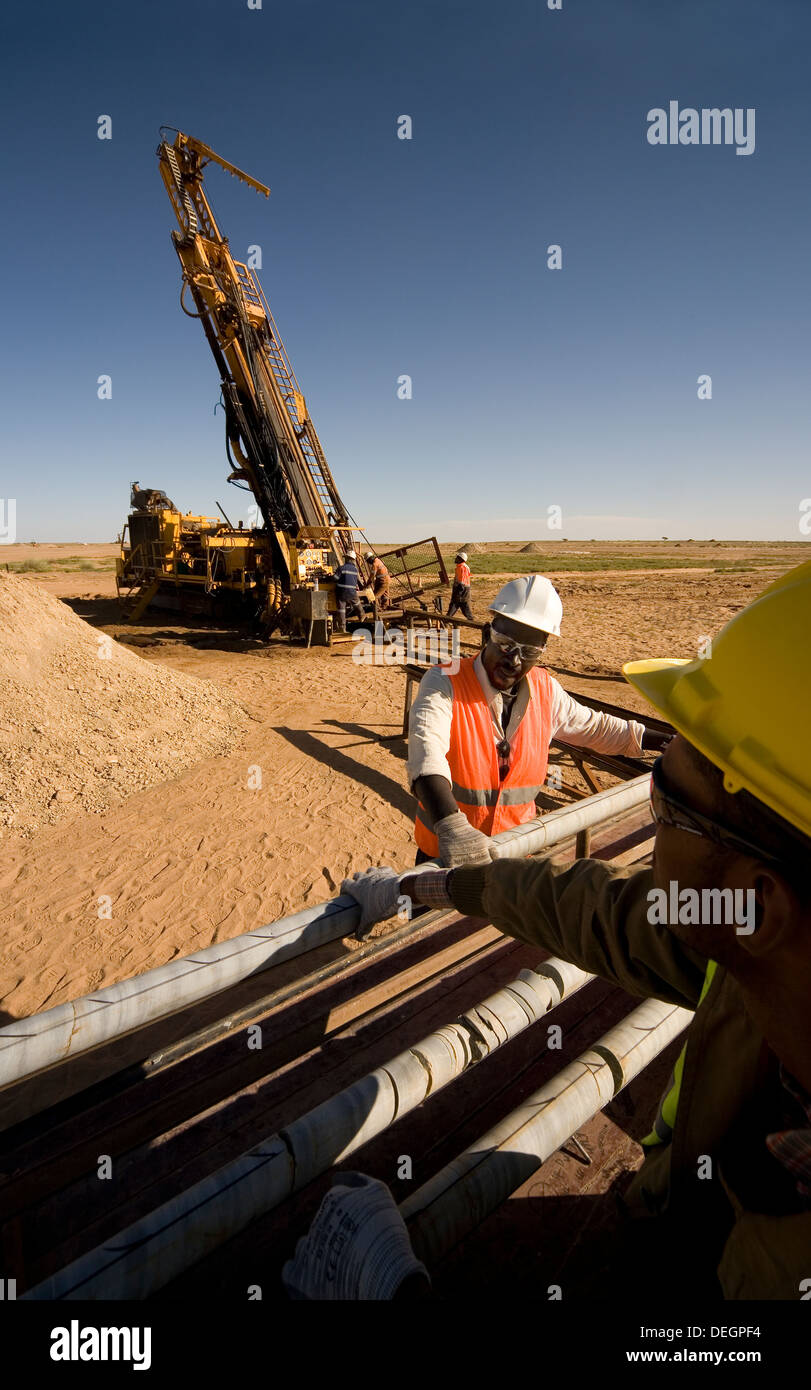 A través de core bandejas con muestras de perforación de exploración antes de iniciar sesión por geólogos, la superficie de la mina de oro, Mauritania, África Noroccidental Foto de stock
