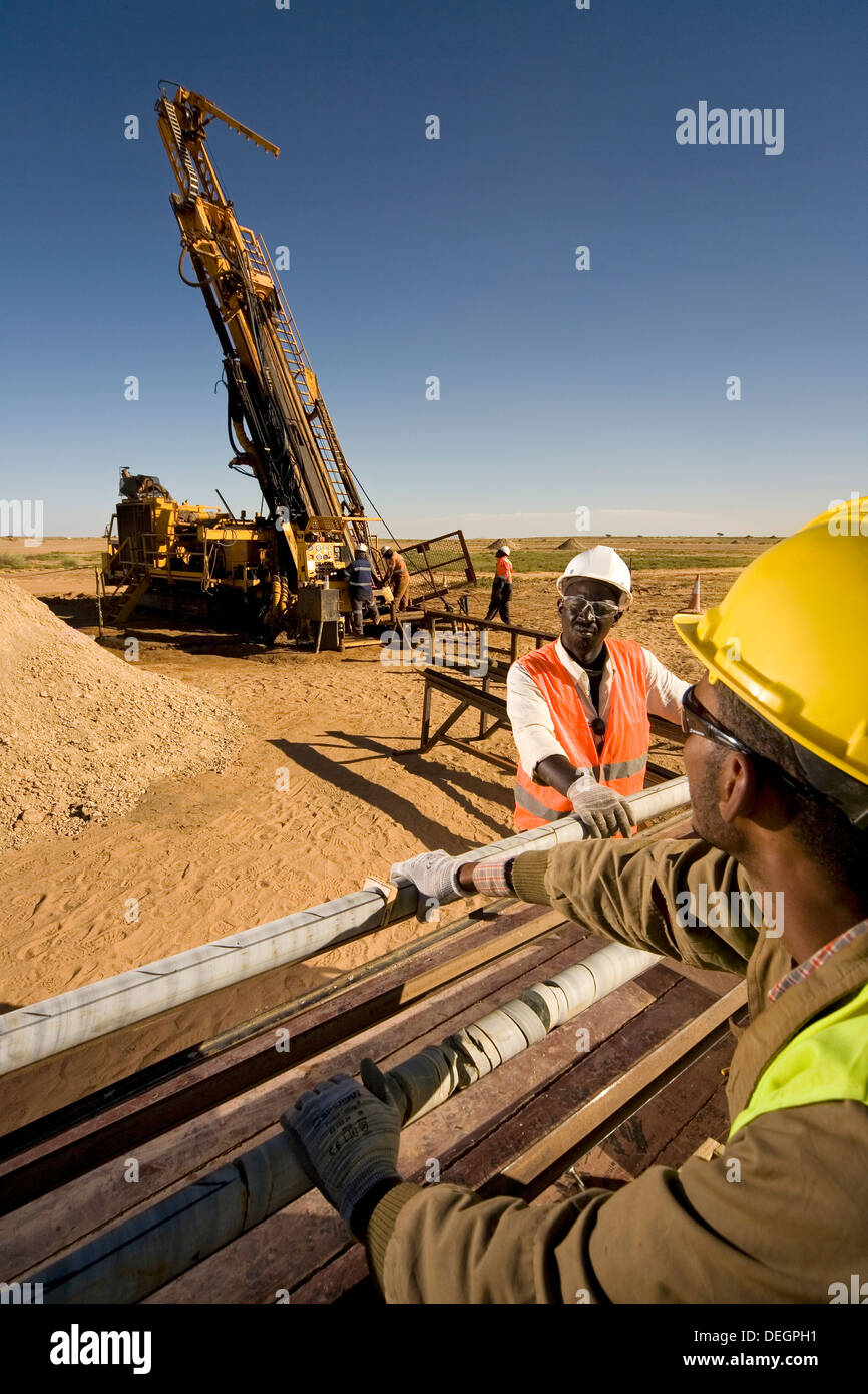 A través de core bandejas con muestras de perforación de exploración antes de iniciar sesión por geólogos, la superficie de la mina de oro, Mauritania, África Noroccidental Foto de stock