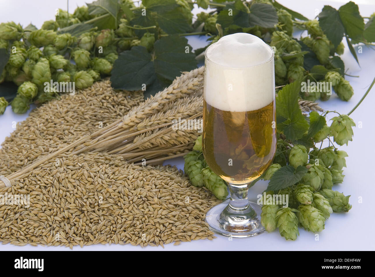 Materia Prima Para La Elaboracion De Cerveza Material Colección