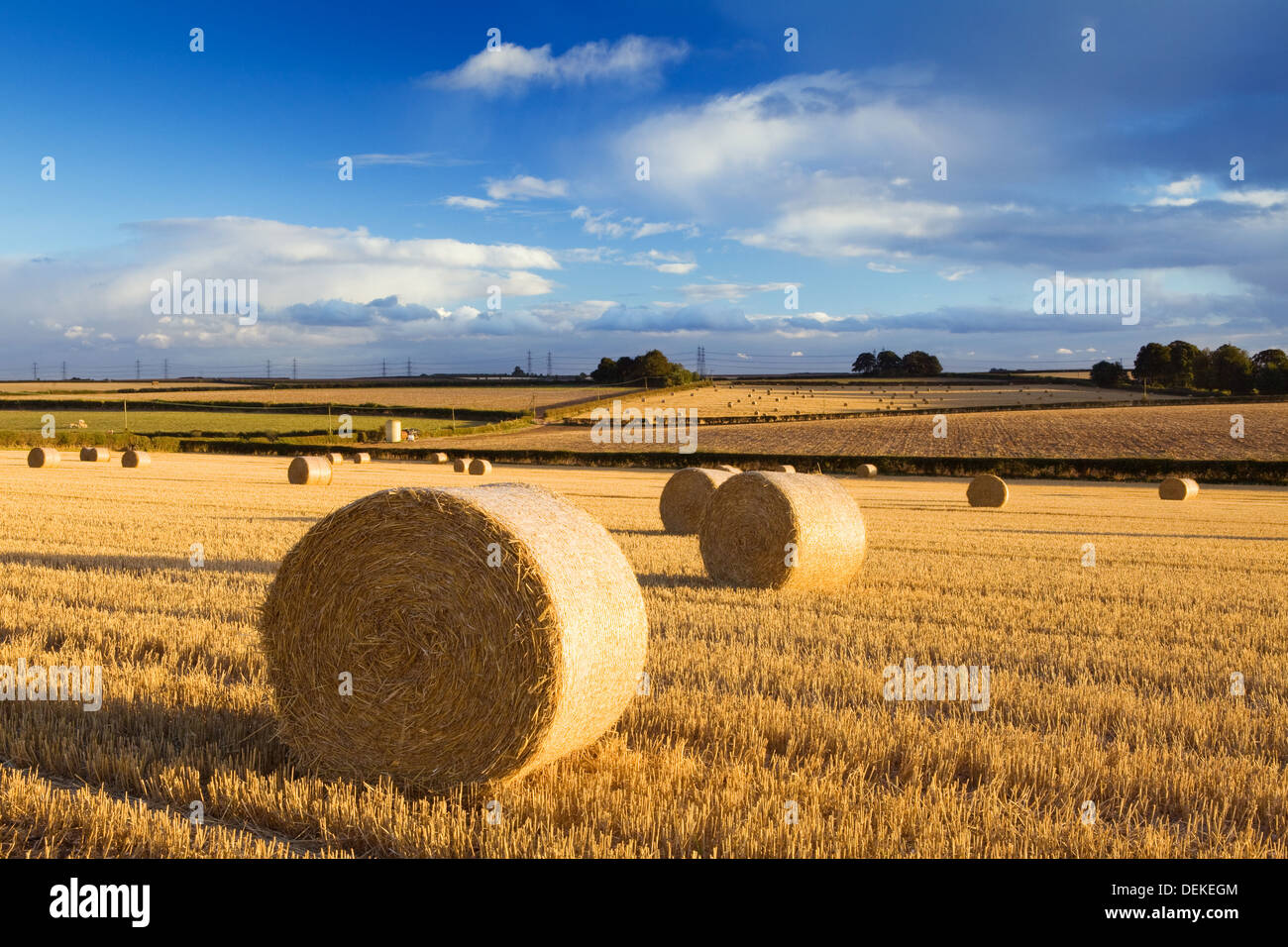 aofoto 7 x 5ft redondo fardos de paja en campo telón de fondo tierras  agrícolas fondo de la fotografía rústico paisaje adulto artística vertical