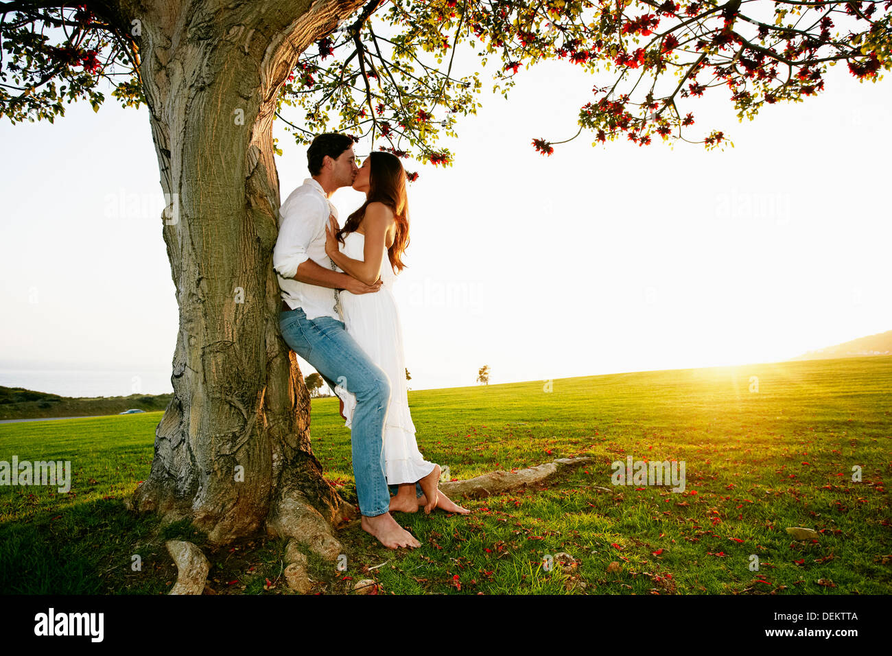 Pareja besándose por árbol en park Foto de stock