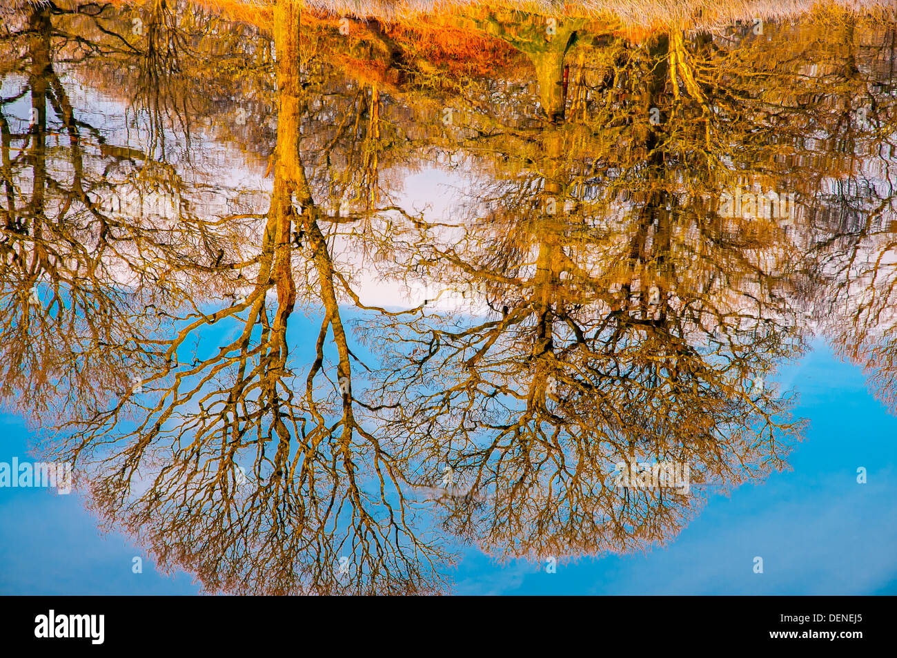 Elter agua,Lake District, Cumbria, Inglaterra, Reino Unido, Europa Foto de stock
