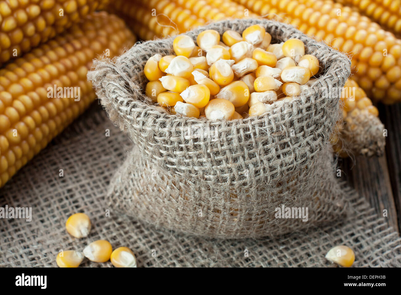 Sack of yellow maize fotografías e imágenes de alta resolución - Alamy