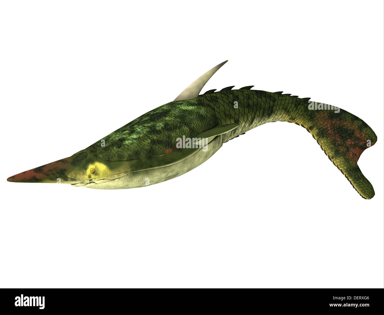 Pteraspis es un género extinto de peces jawless que vivió en el Período Devoniano. Foto de stock