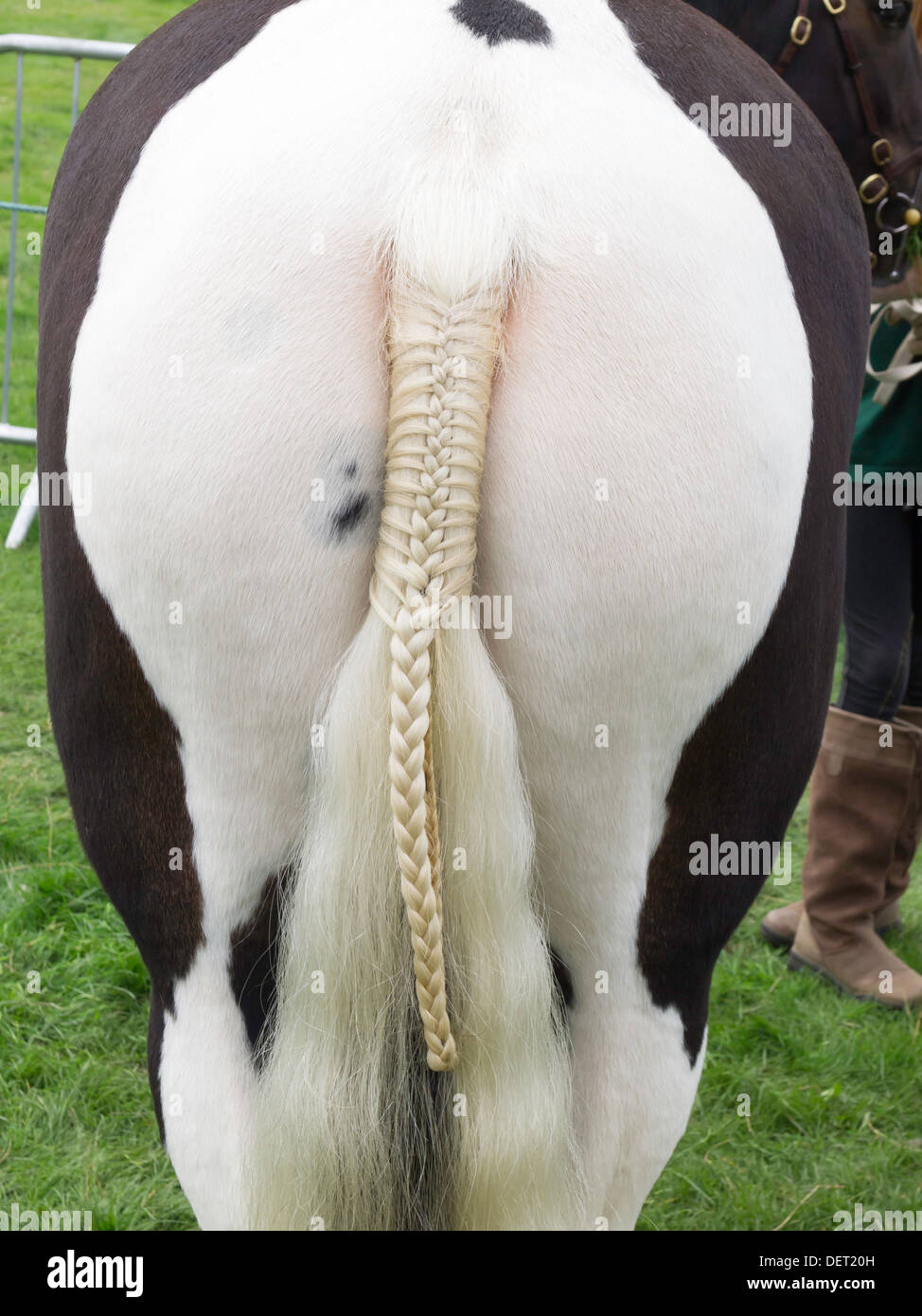 Trenzado decorativo de la cola de un caballo en el Stokesley Show agrícola 2013 Foto de stock