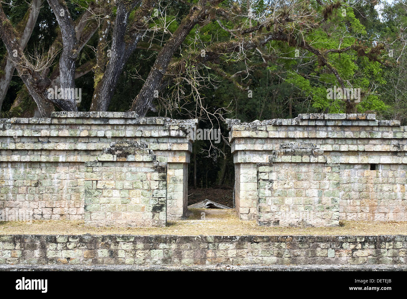 Salón da baile (AD 731), la Gran Plaza, las ruinas mayas de Copán, Las