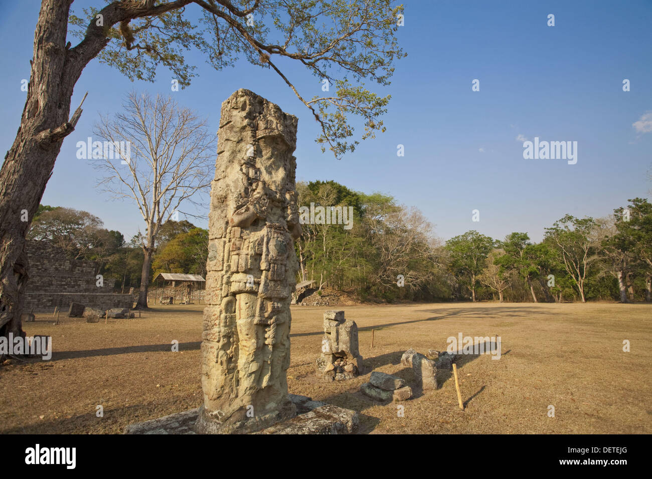 La estela 3 de la Gran Plaza, las ruinas mayas de Copán, Las Ruinas de