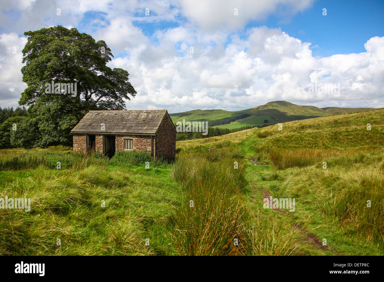 Un viejo granero con Shutlingsloe Hill en la distancia en Cheshire, Inglaterra Foto de stock