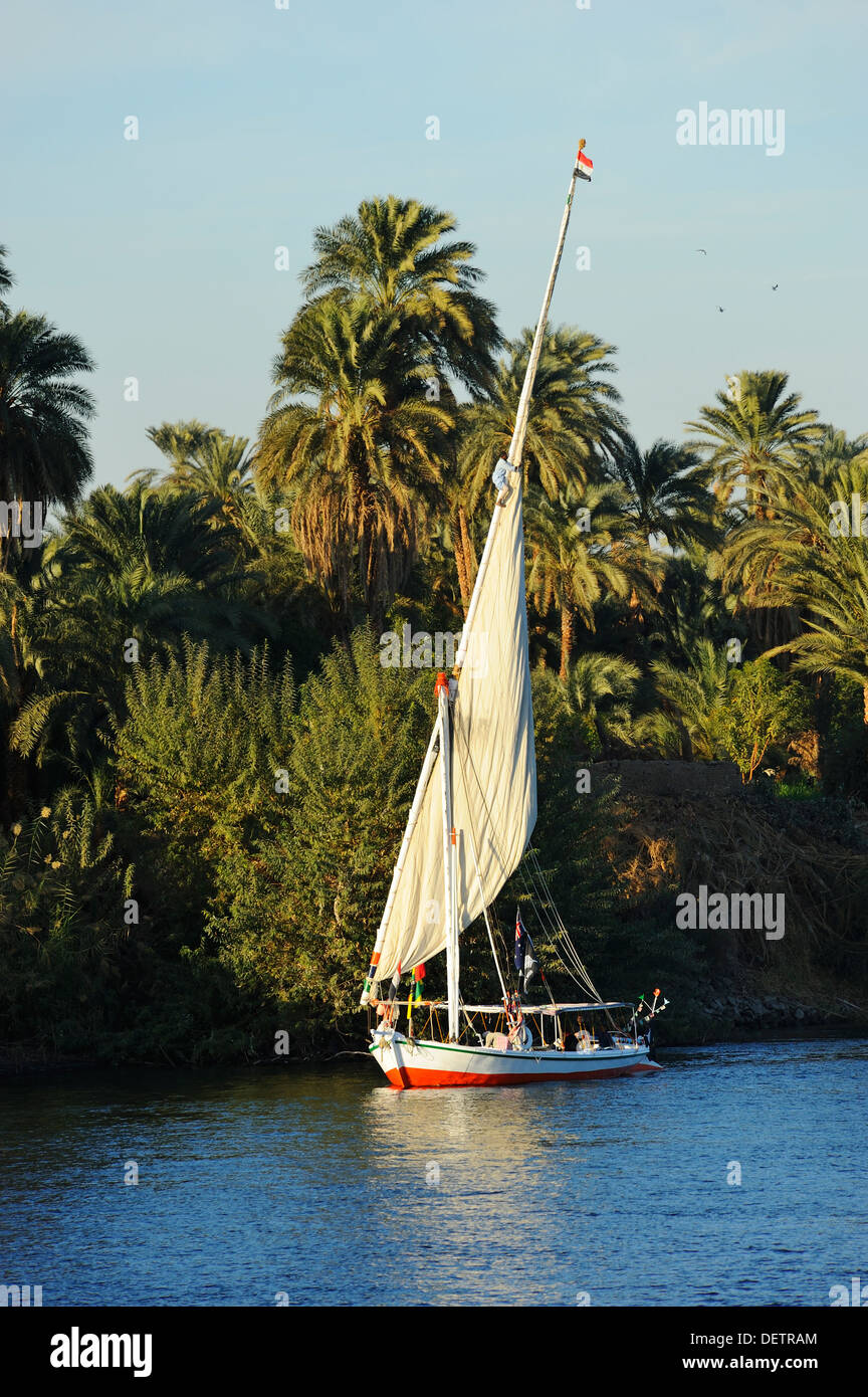 Develando vela de la faluca por el río Nilo entre Asuán y Luxor, Alto Egipto Foto de stock