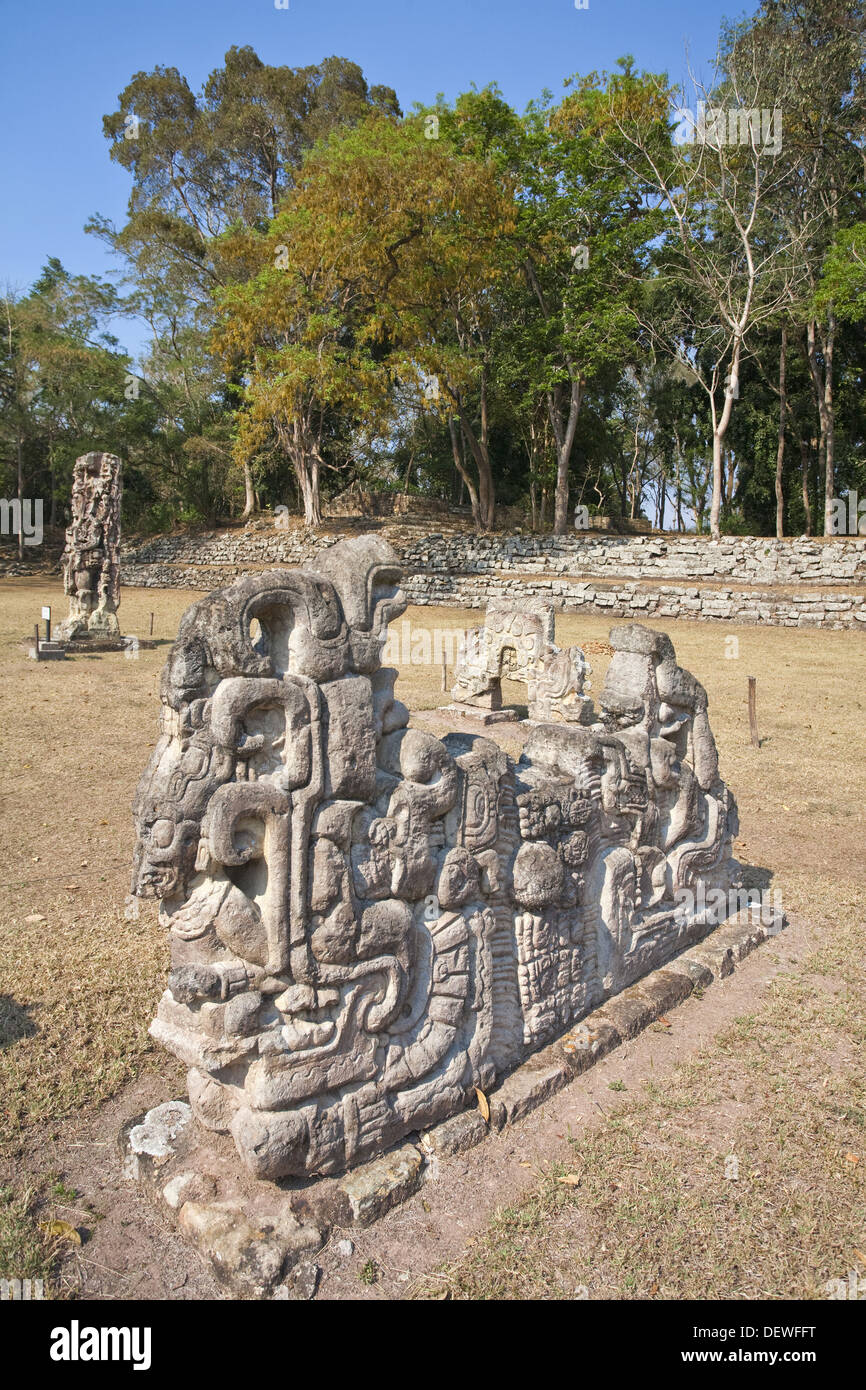Gran Plaza, las ruinas mayas de Copán, Honduras Fotografía de stock Alamy
