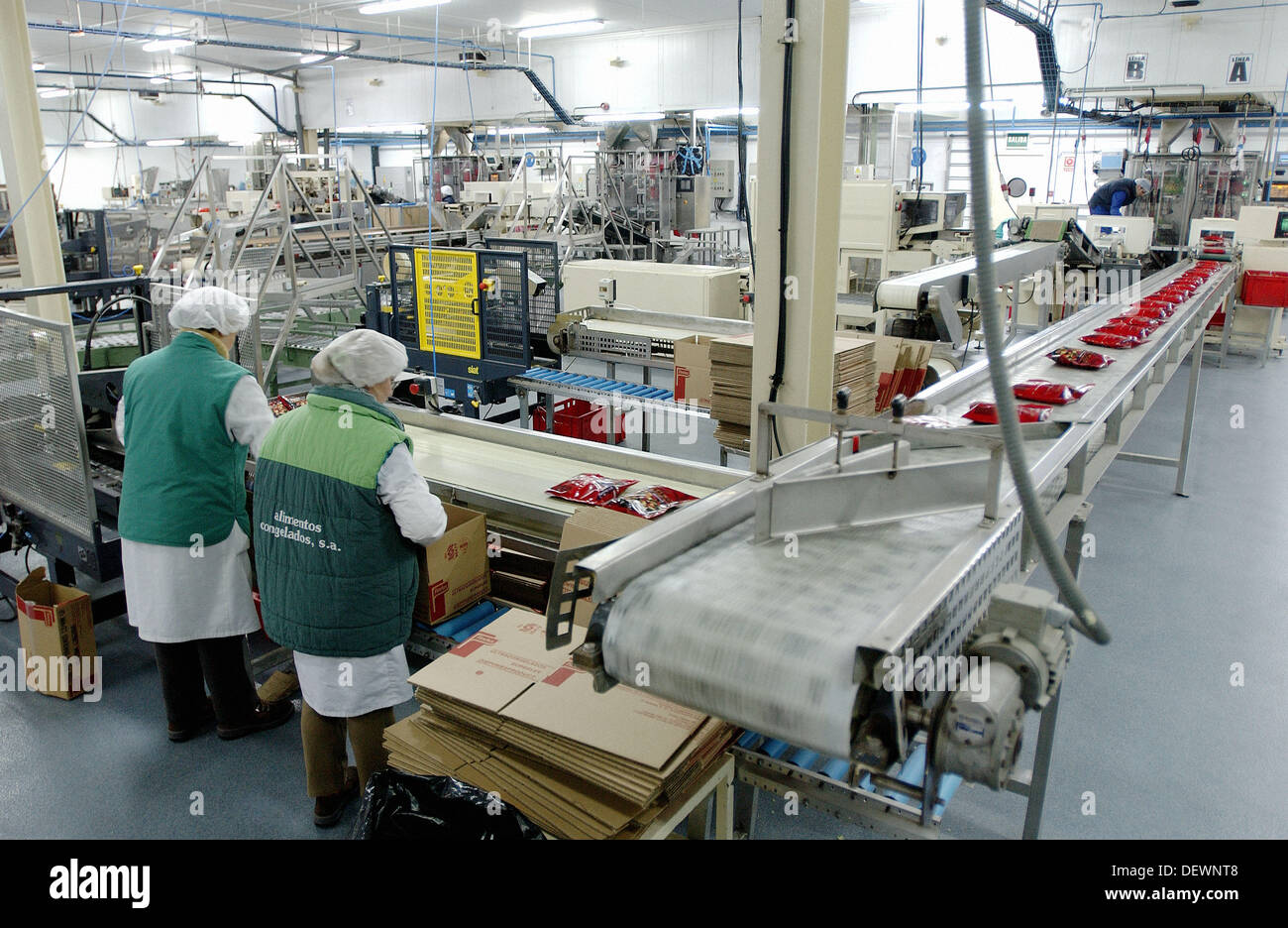 La industria de alimentos congelados, línea de envasado. Navarra. España  Fotografía de stock - Alamy
