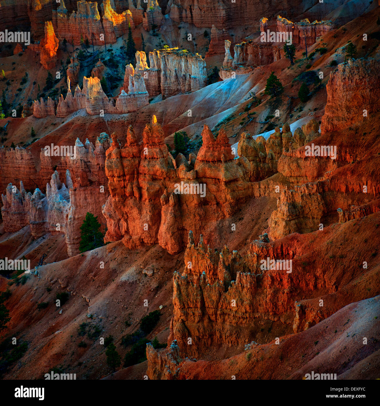 Bryce Point,Bryce Canyon National Park, de alta calidad, alta resolución, imagen en formato cuadrado Foto de stock