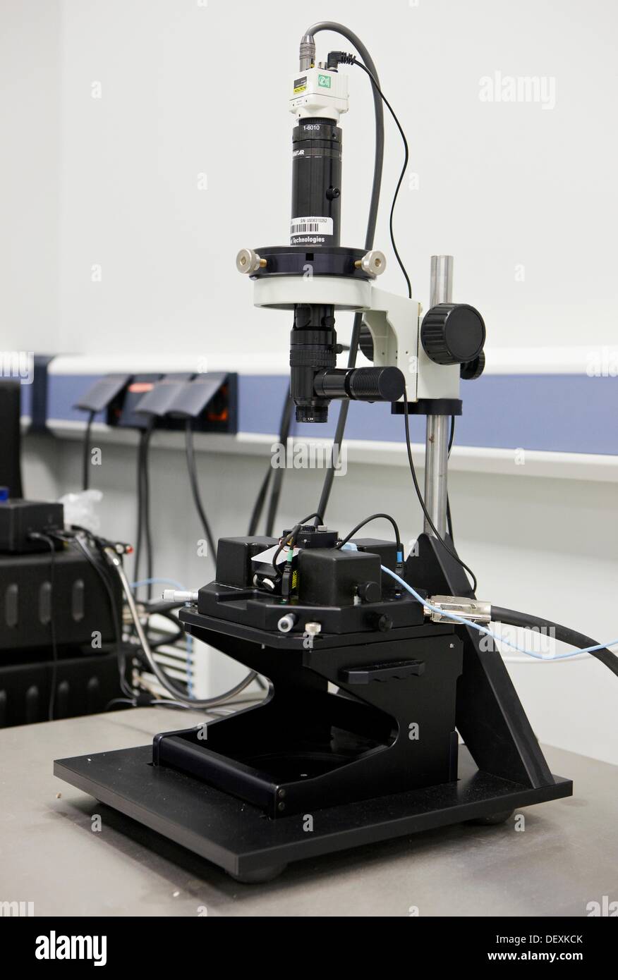 Microscopio de fuerza atómica (AFM), Laboratorio de microscopía de sonda,  CIC nanoGUNE, nanociencia, Centro de Investigación Cooperativa, San  Fotografía de stock - Alamy