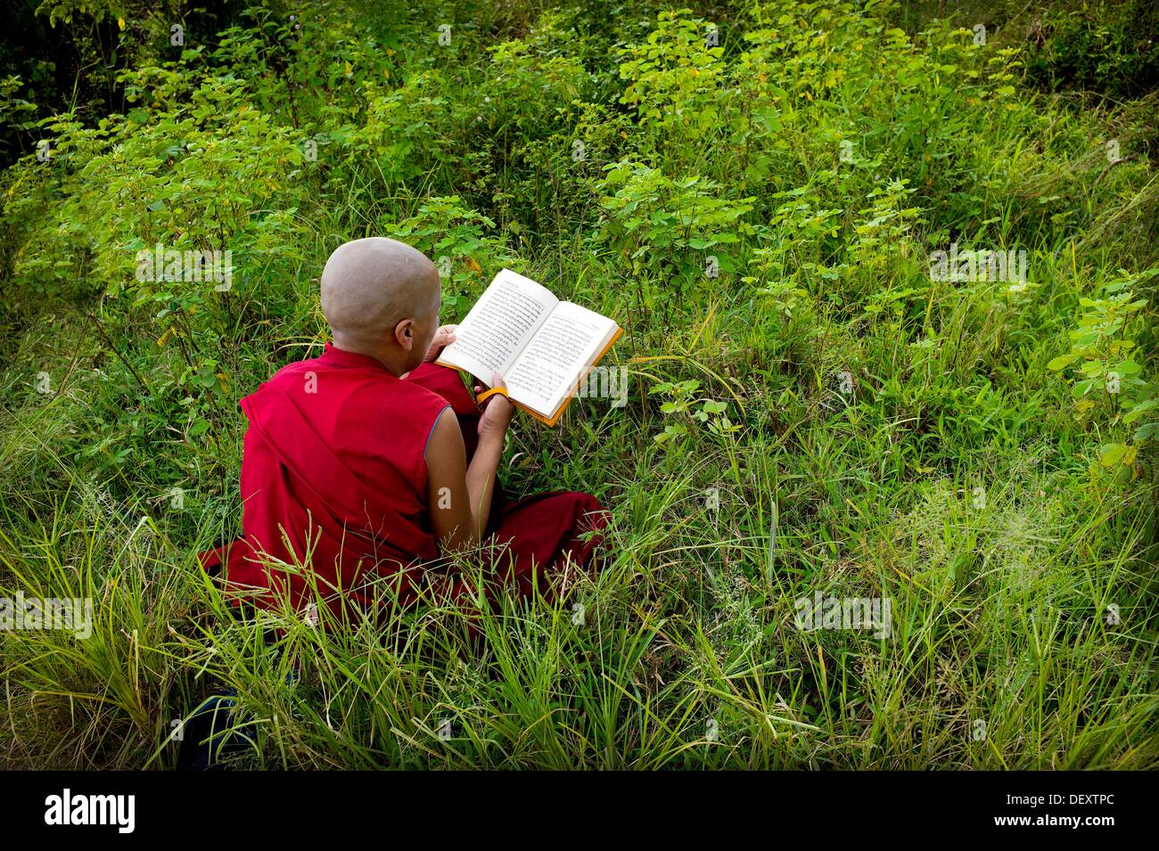 Monja, monasterio budista tibetano, mungod, Karnataka, India, Asia, campamento de refugiados tibetanos, comunidad religiosa, Foto de stock
