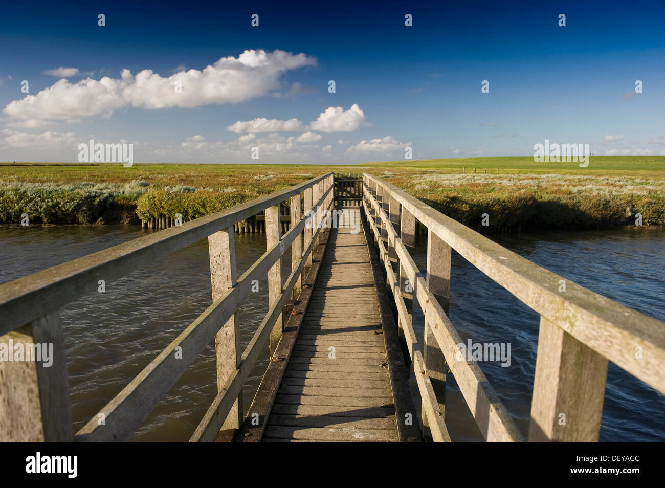 Puente de madera y marismas, Westerhever, Eiderstedt, Frisia septentrional, Schleswig-Holstein Foto de stock