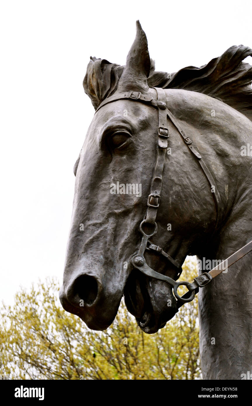 Waco estatua caballo closeup Foto de stock