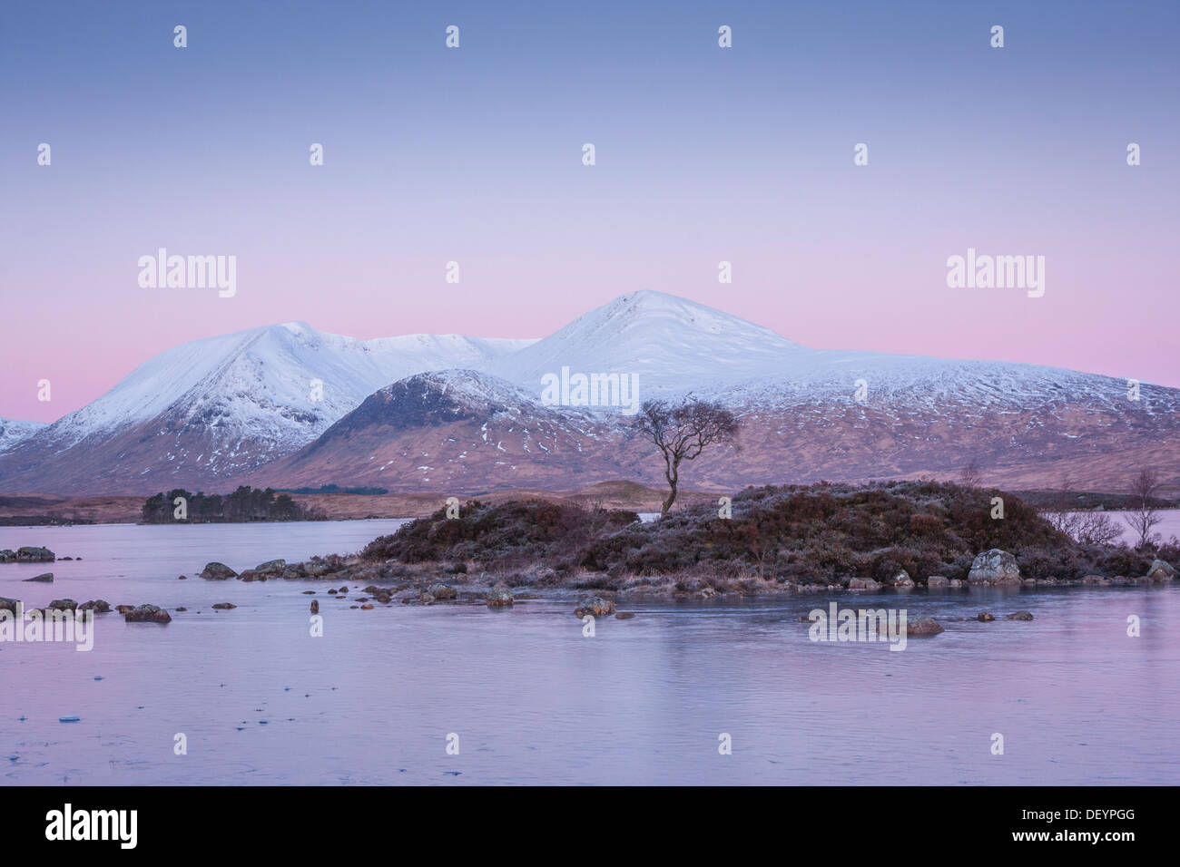 Escena de Invierno, con pre Alba Luz, Lochan Na H-Achlaise, Rannoch Moor, Scotland, Reino Unido Foto de stock