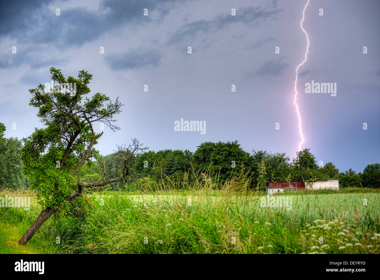 Tormenta con flash en Kirchwerder, Hamburgo, Alemania, Europa, mit Gewitter Blitz en Kirchwerder, Deutschland, Europa Foto de stock