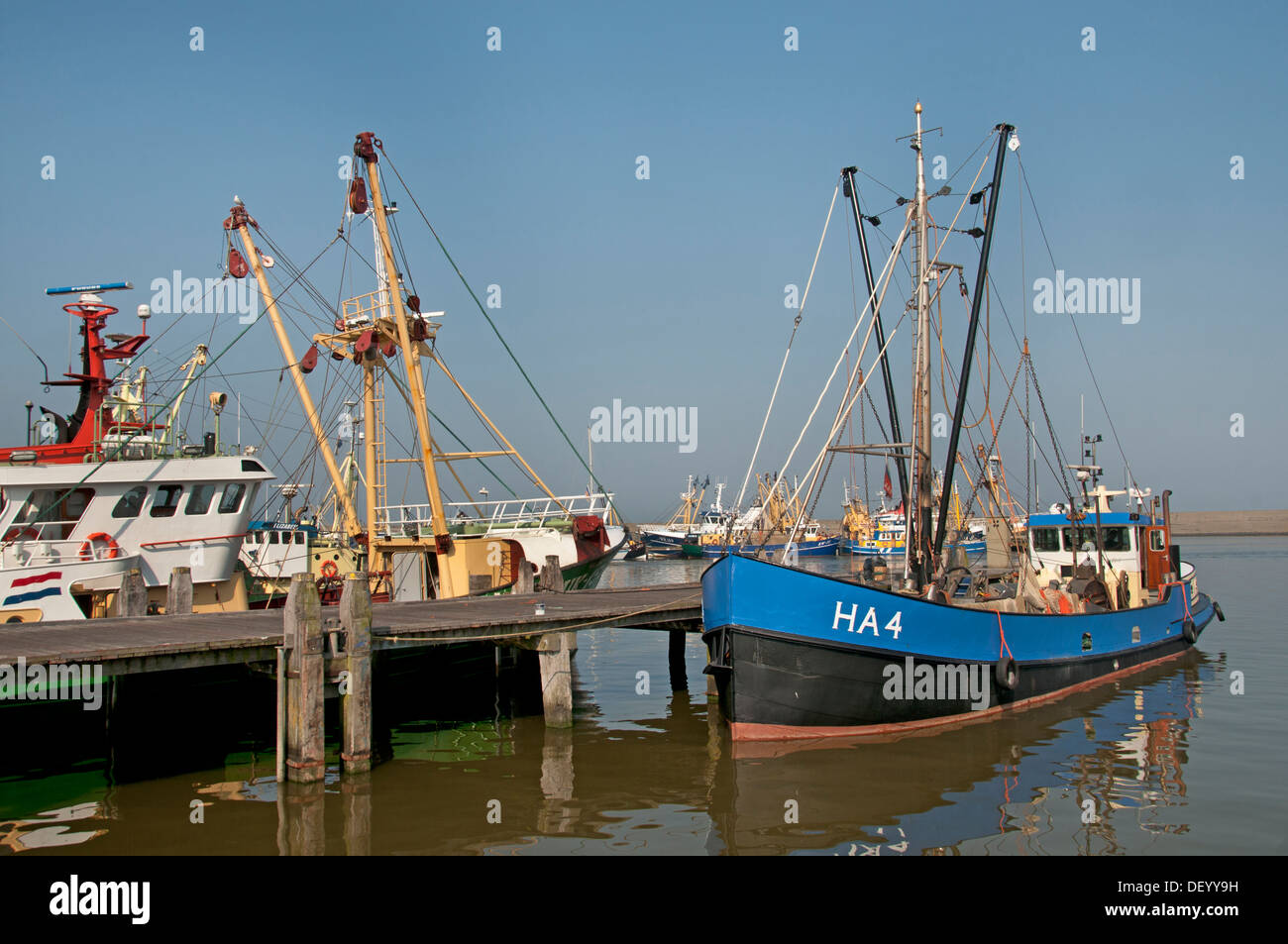 Harlingen puerto pesquero con una subasta de pescado, función y un puerto de origen para Harlingen en cortadoras Urker Holanda Frisia Foto de stock