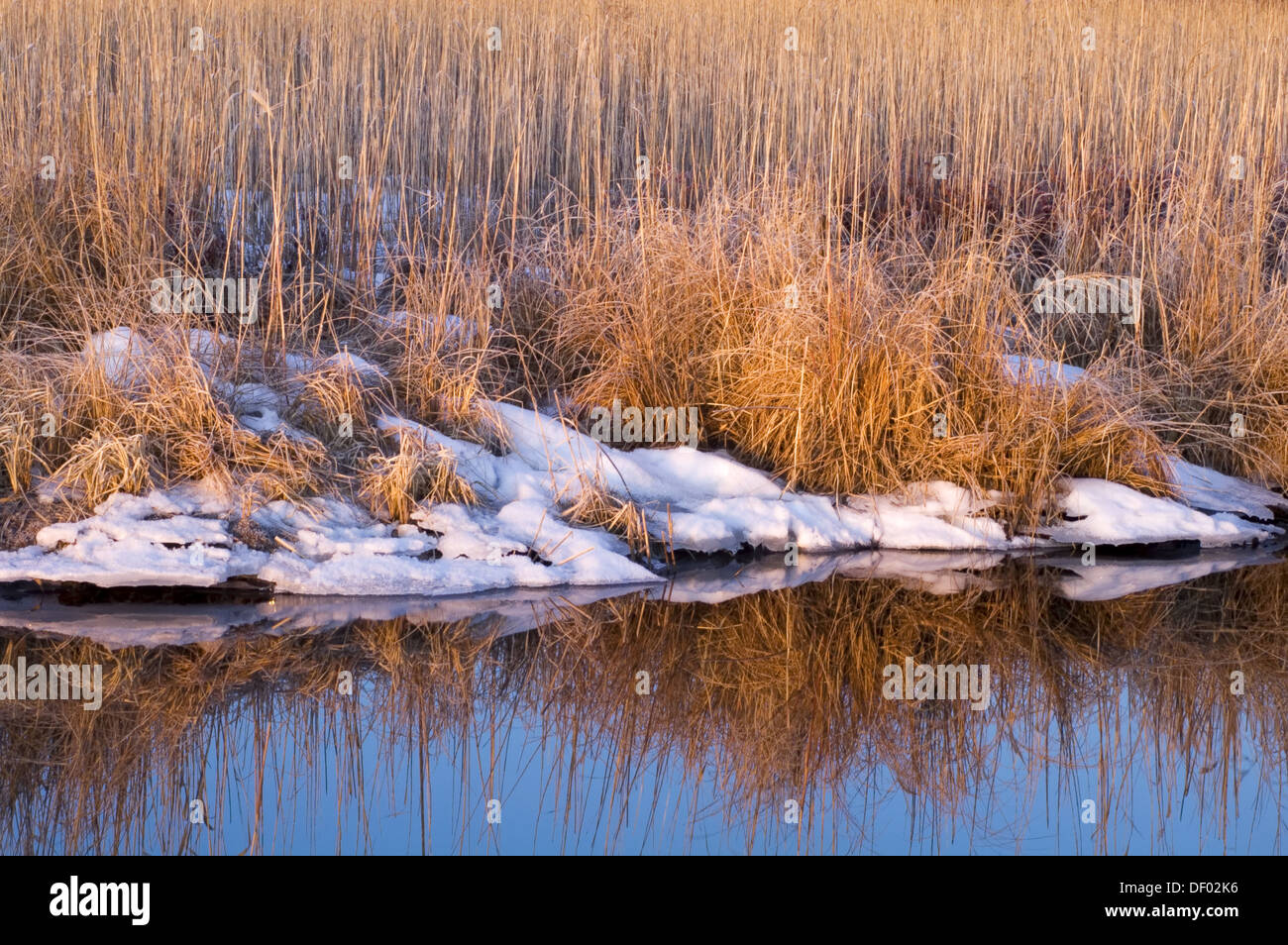 Los pastos y los remanentes de nieve reflejaba en Robinson Creek. Sudbury. Ontario, Canadá Foto de stock