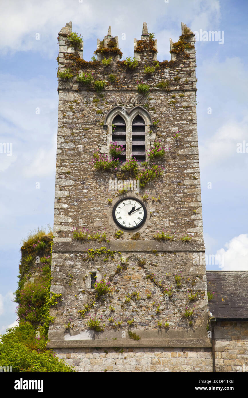 Torre de Castillo Negro, Inistioge, condado de Kilkenny, Irlanda Foto de stock