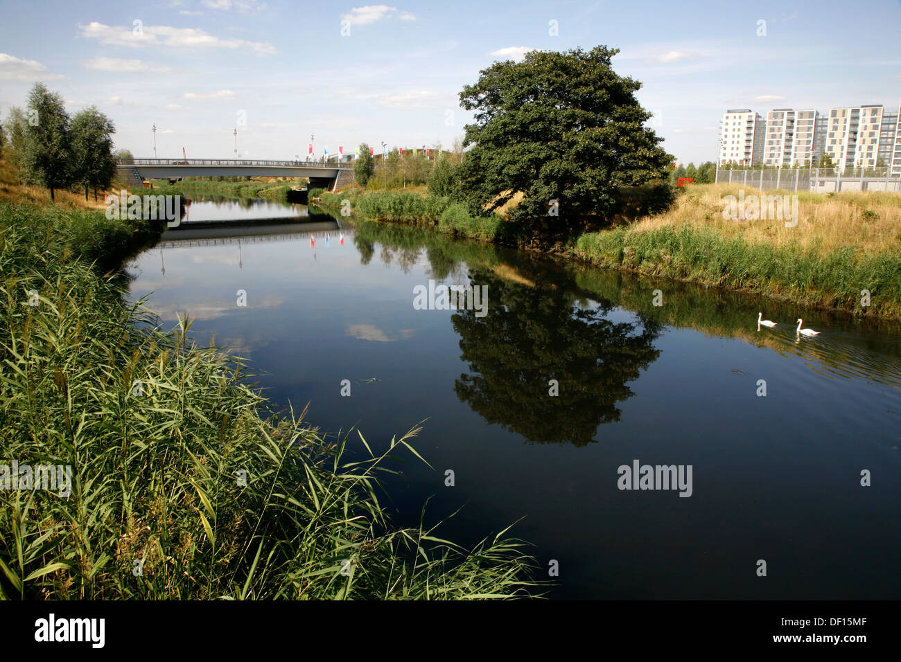 Río Lea ejecutando a través de Queen Elizabeth Olympic Park, Stratford, London, UK Foto de stock