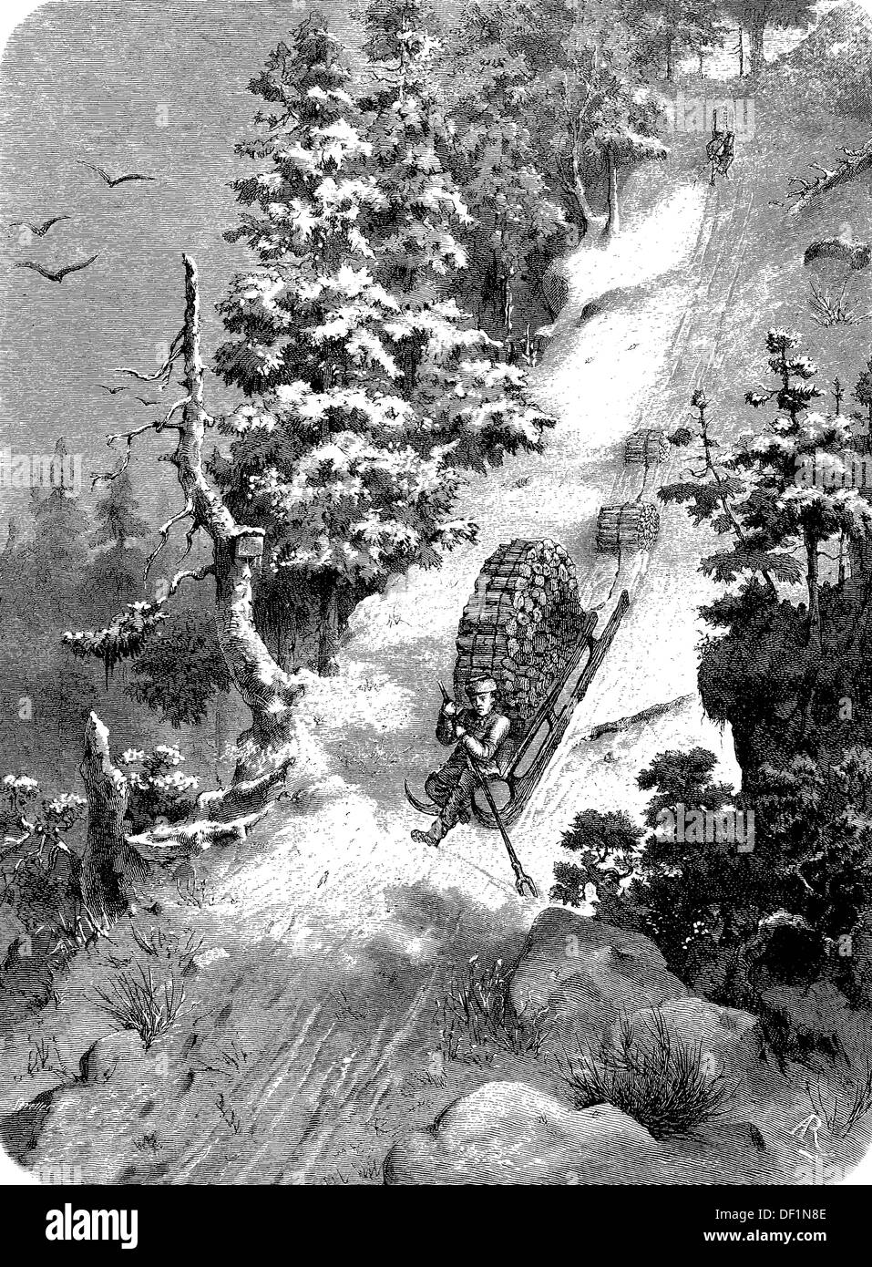 El transporte de madera con la diapositiva en el Bosque de Bohemia, República Checa, xilografía de 1864 Foto de stock