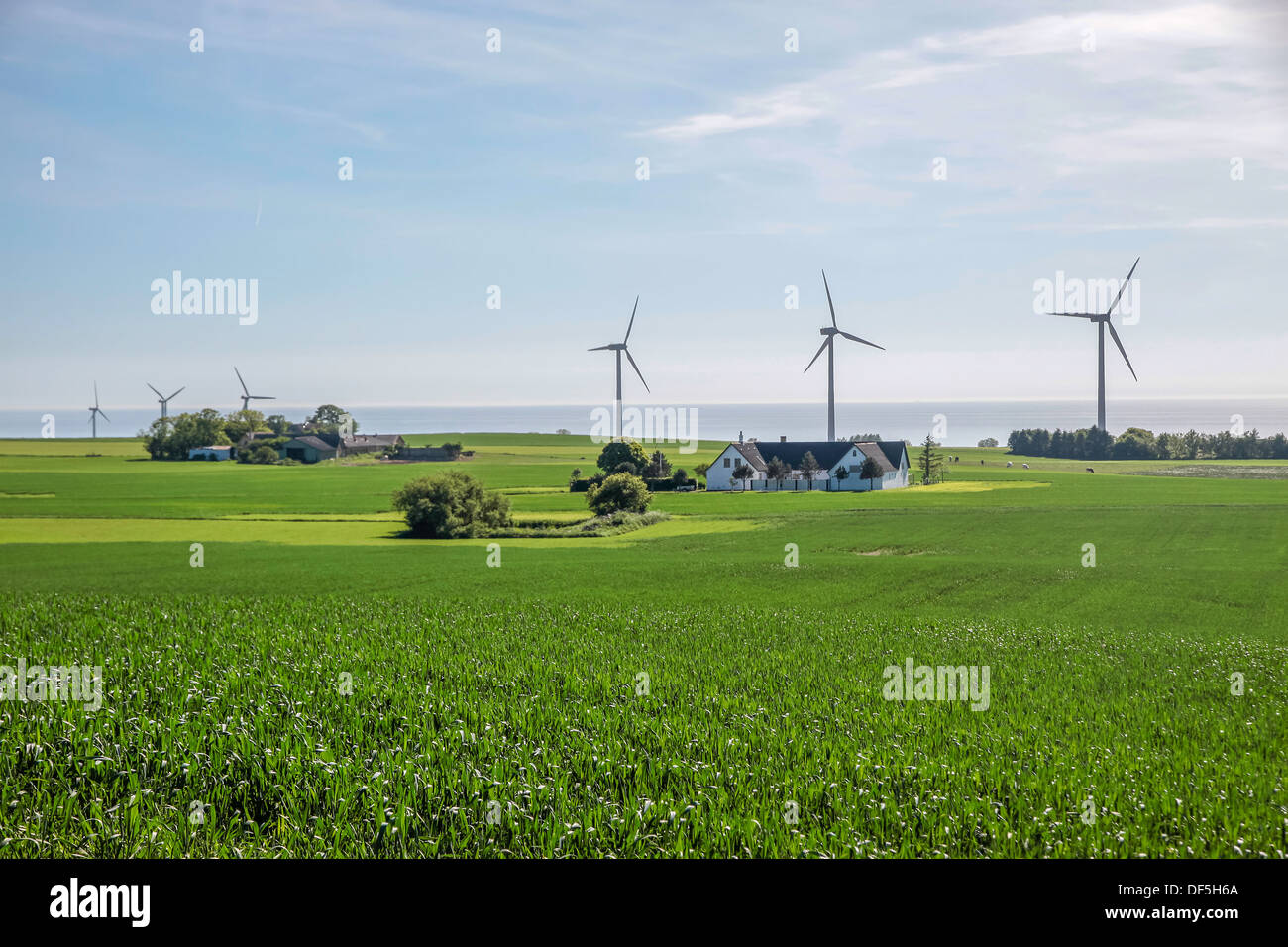 Verdes campos y granjas eólicas en Bornholm, Dinamarca Foto de stock