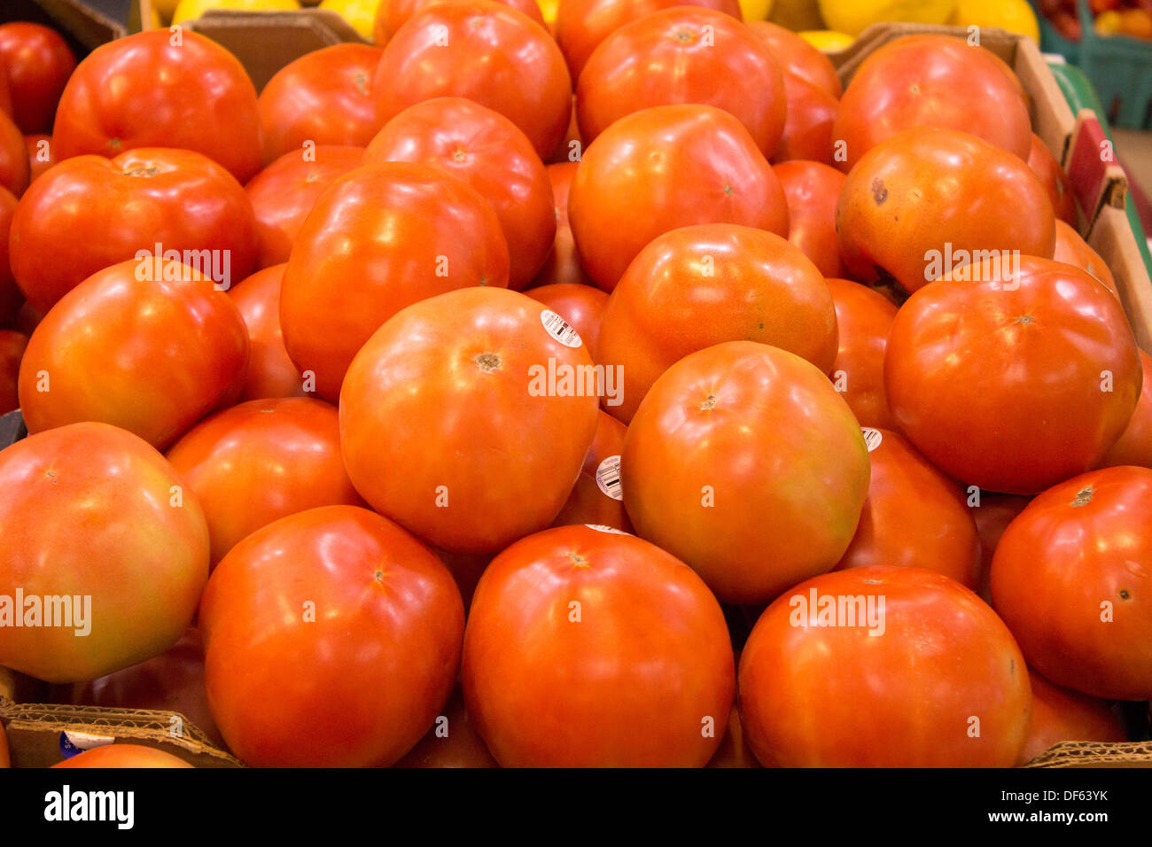 Los tomates de campo apiladas Foto de stock