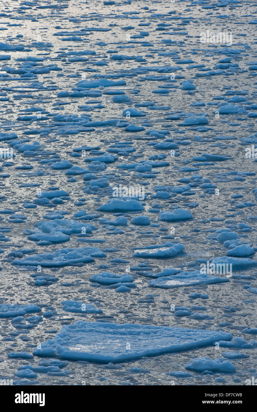 Témpanos de hielo, el hielo, el Océano Ártico, la isla de Spitsbergen, el archipiélago de Svalbard y Jan Mayen, Svalbard, Noruega Foto de stock