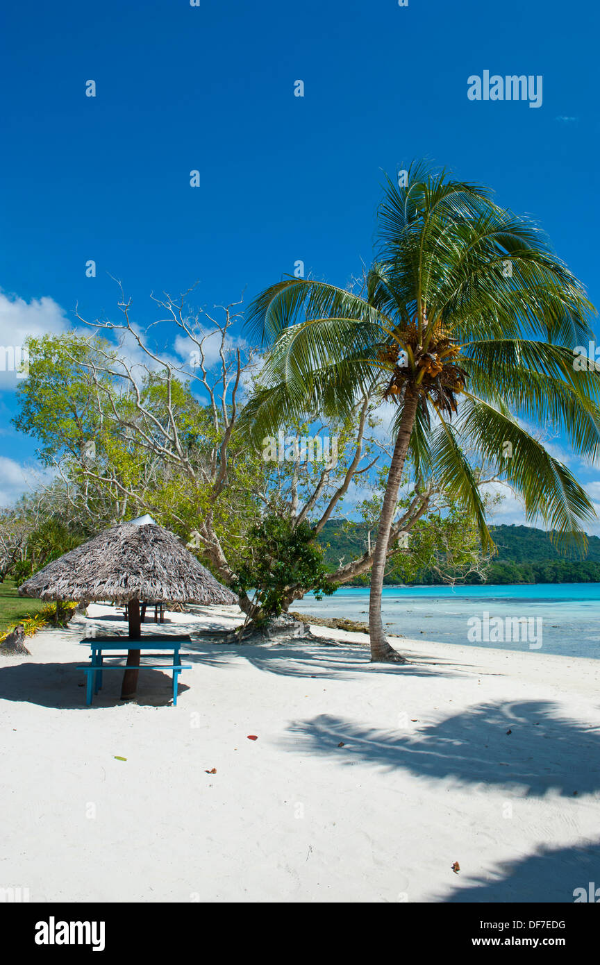 Cabaña en la playa en la playa de champán, Espiritu Santo, provincia de sanma, Vanuatu Foto de stock
