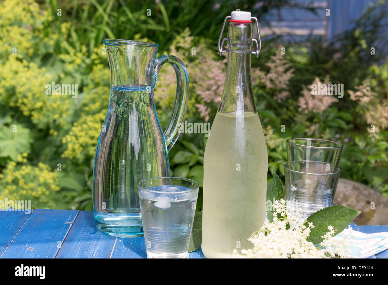 Elderflower caseros cordial en un día de verano. En el Reino Unido. Foto de stock