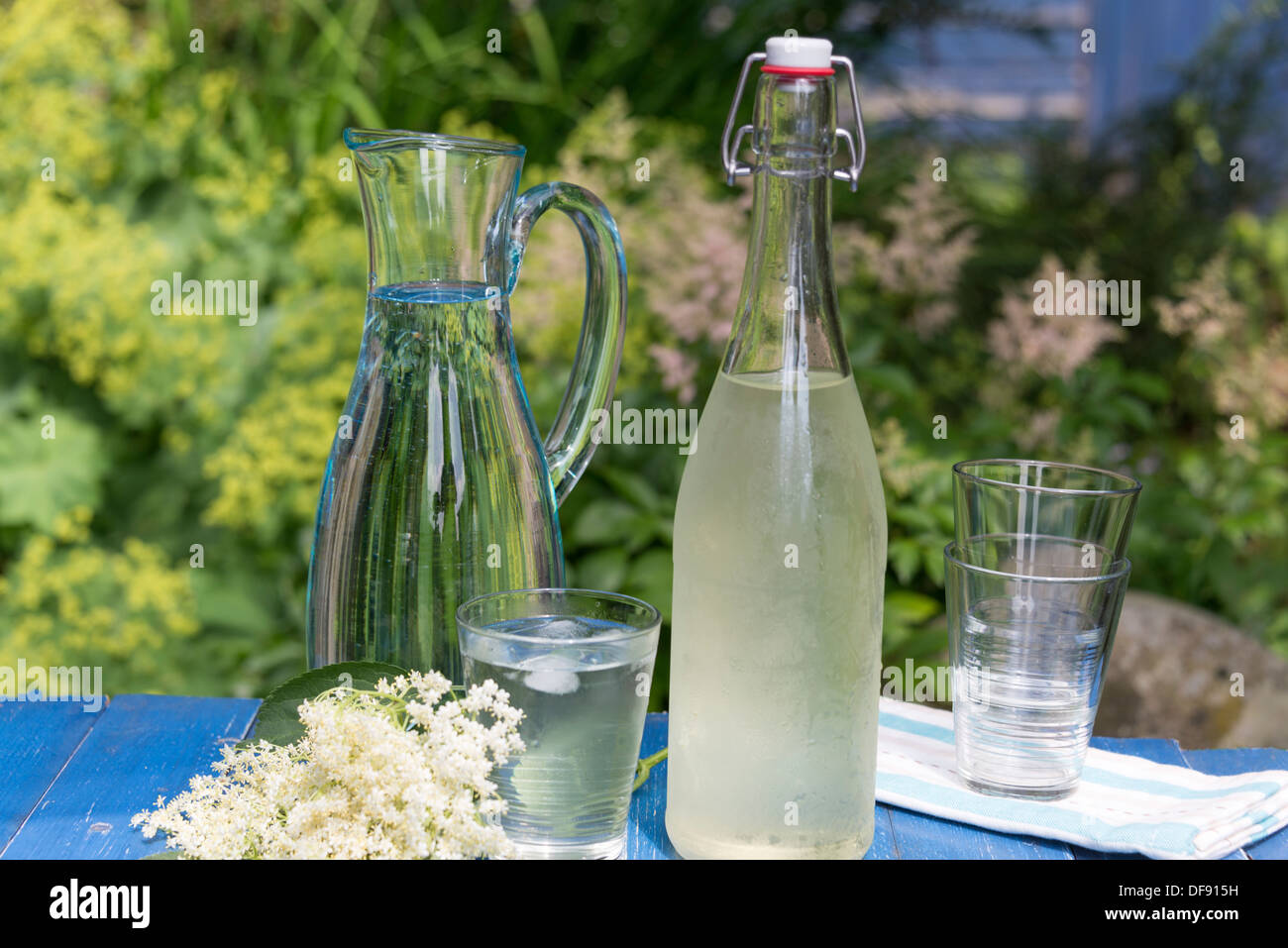 Elderflower caseros cordial en un día de verano. En el Reino Unido. Foto de stock