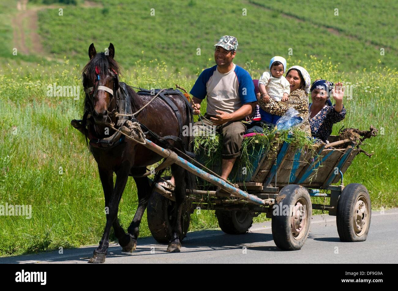 Dobruja, familia de gitanos con carro de caballos tradicional, Rumania Foto de stock