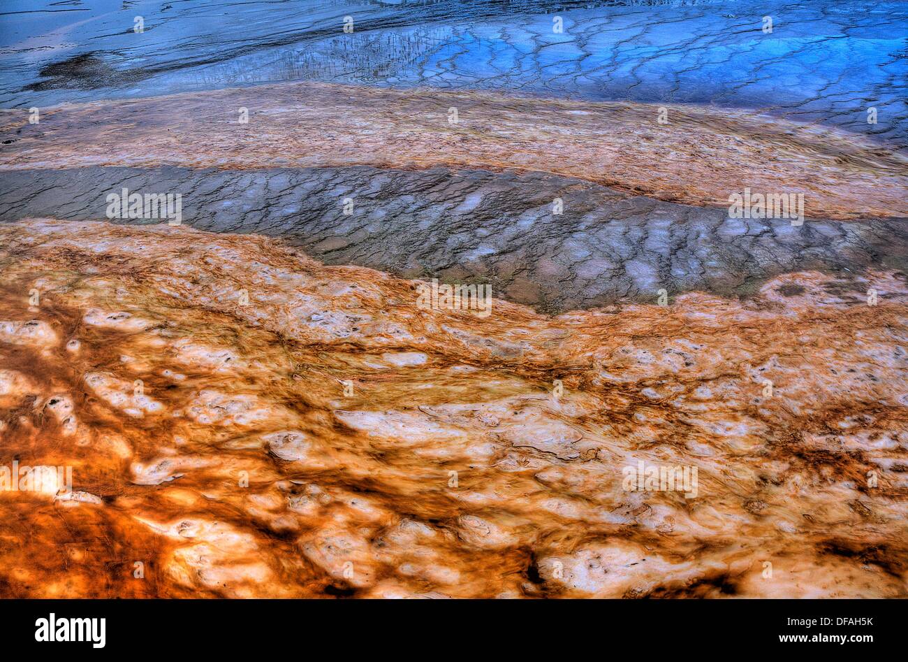 Esteras bacterianas en el Grand Prismatic Spring, en el parque nacional Yellowstone, Wyoming Foto de stock