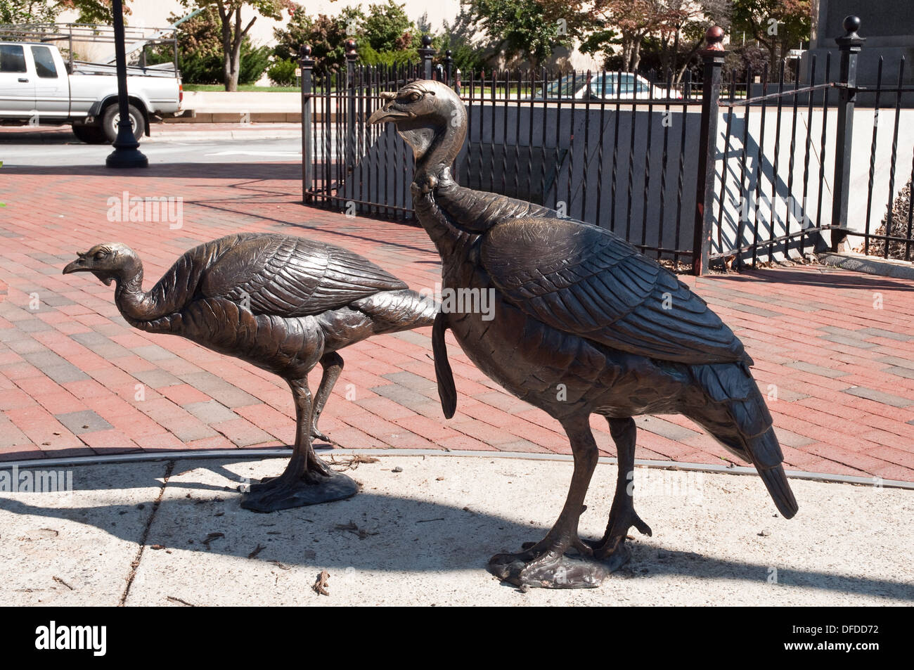 Robert Gursky las esculturas de bronce de pavos salvajes, parte del Urban Trail Walking tour de arte público de Asheville, NC, EE.UU.. Foto de stock