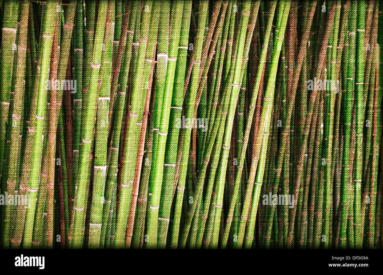 Papel de bambú orientales para su diseño Foto de stock
