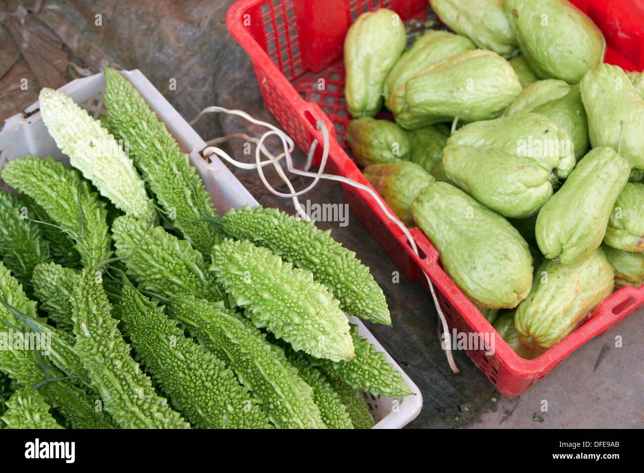 Verduras chinas, Weishan, la Prefectura Autónoma Bai de Dali, Yunnan, China  Fotografía de stock - Alamy
