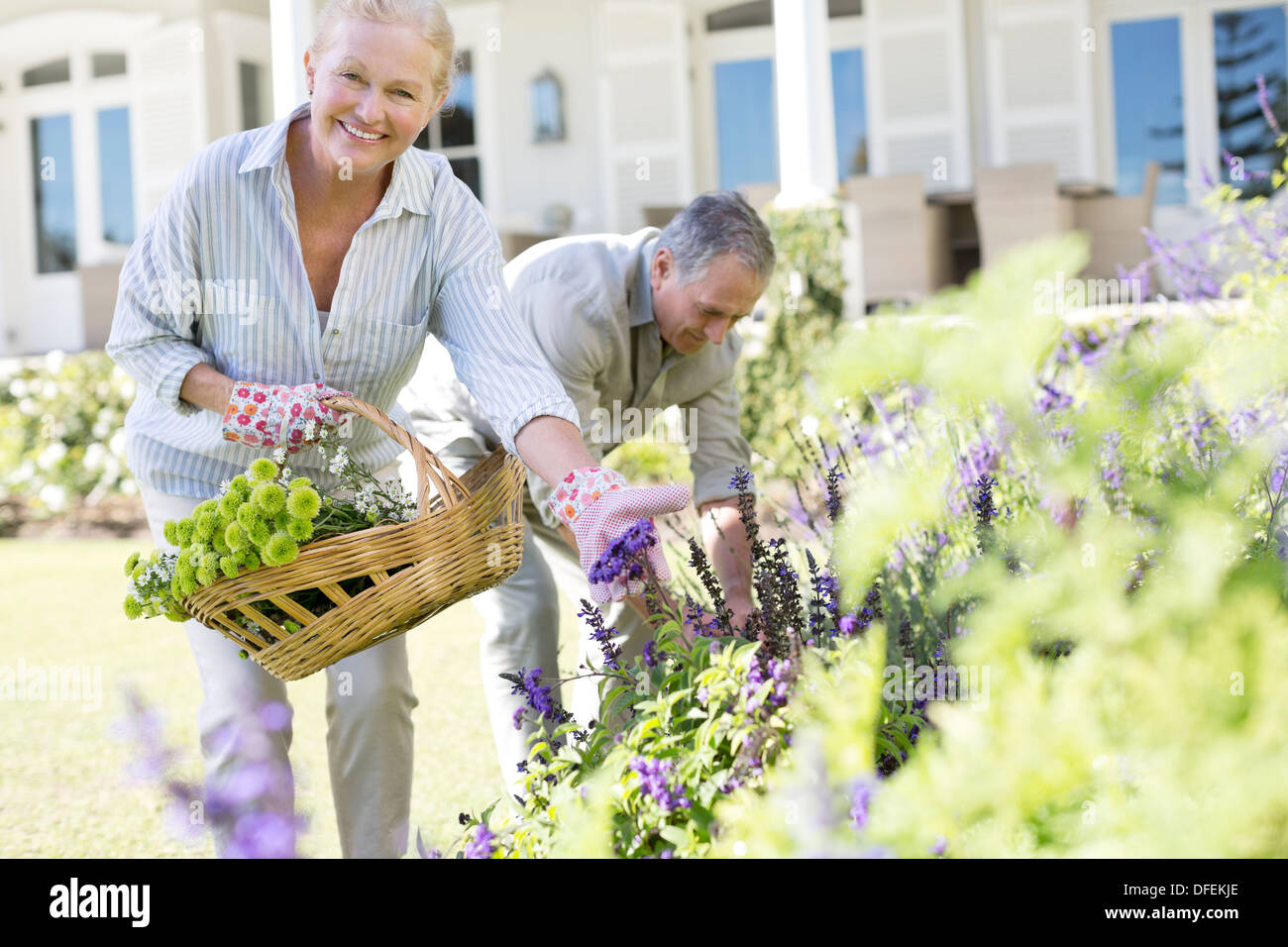 Las parejas ancianas recogiendo flores en el jardín Foto de stock