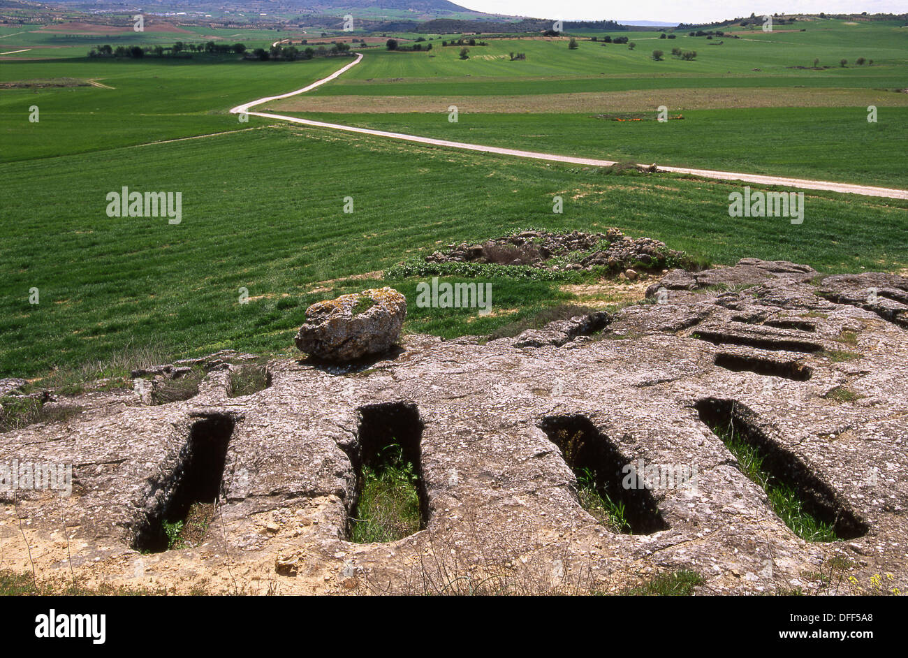 Foto de Ciudad romana de Ercávica en Cañaveruelas, Cuenca