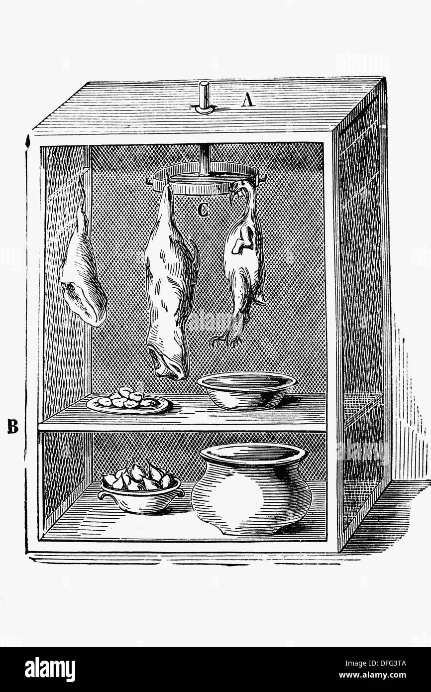 Despensa. Dibujo de antigüedades, ca. 1900. / Fresquera para conservar los  alimentos. Antigua ilustración de alrededor de 1900 Fotografía de stock -  Alamy