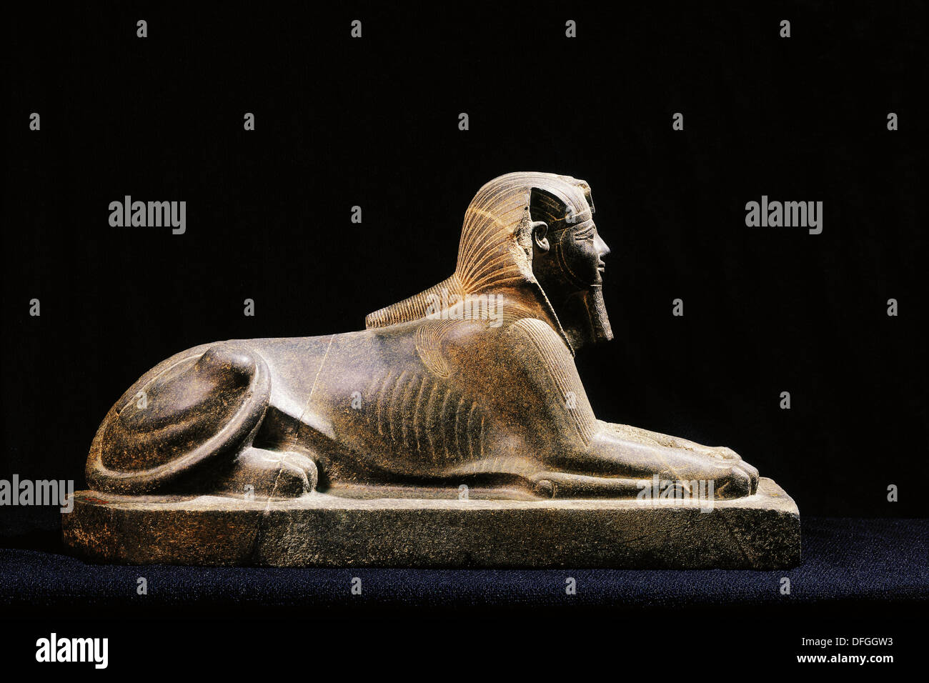 Sphinx od Thutmosis III. Museo Egipcio. Egipto Foto de stock