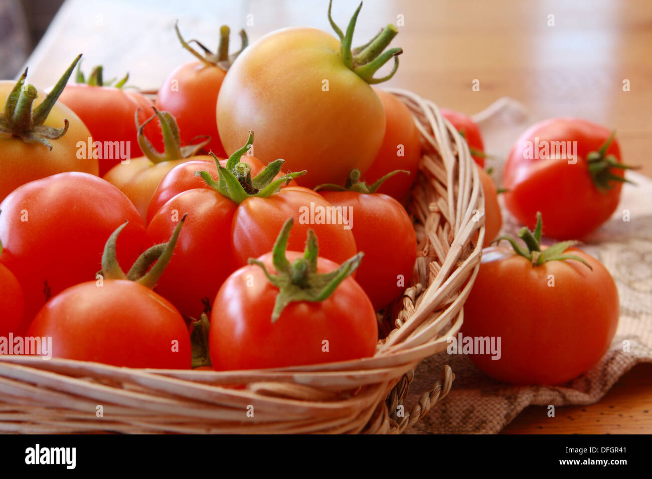 Los tomates en una cesta y suelto junto a la cesta de la compra Foto de stock